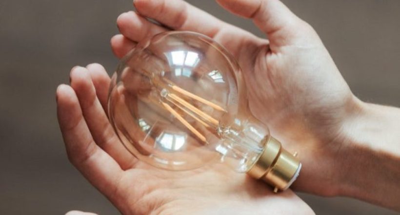 unrecognizable woman demonstrating light bulb in hands