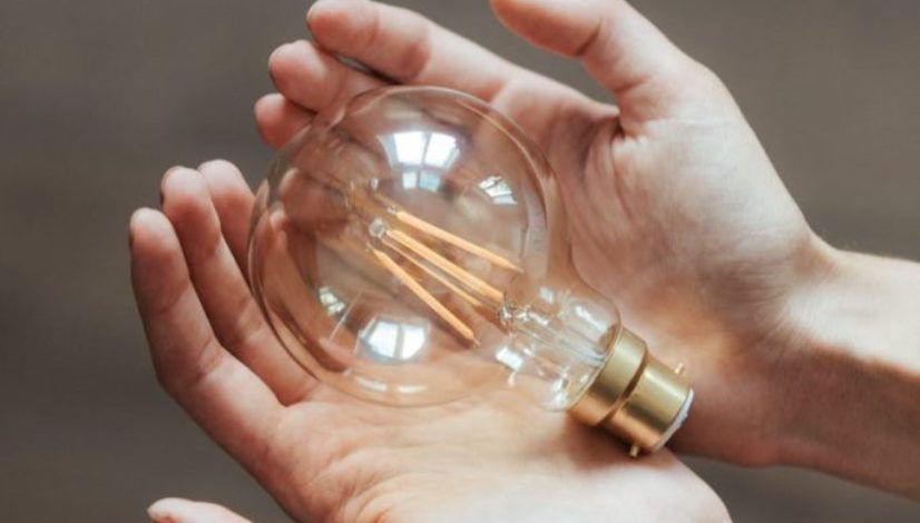 unrecognizable woman demonstrating light bulb in hands